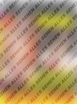 Cover des Erotik Movies Meine Schwiegermutter, die S**-F***e