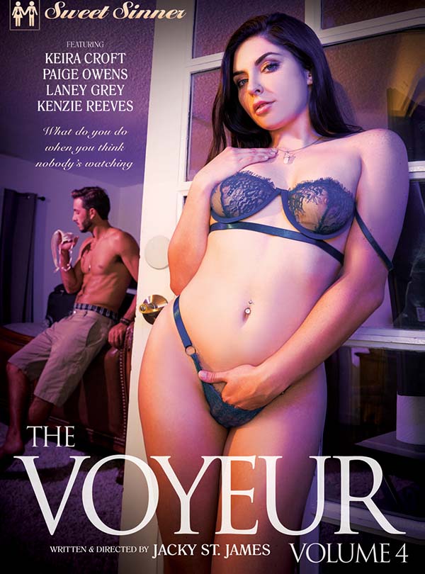 Cover The Voyeur Vol.4 