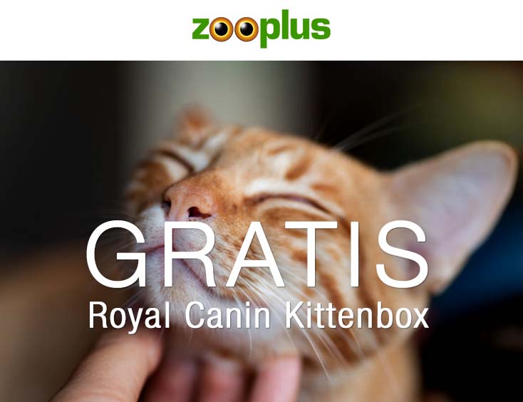 Gratis Royal Canin Kittenbox