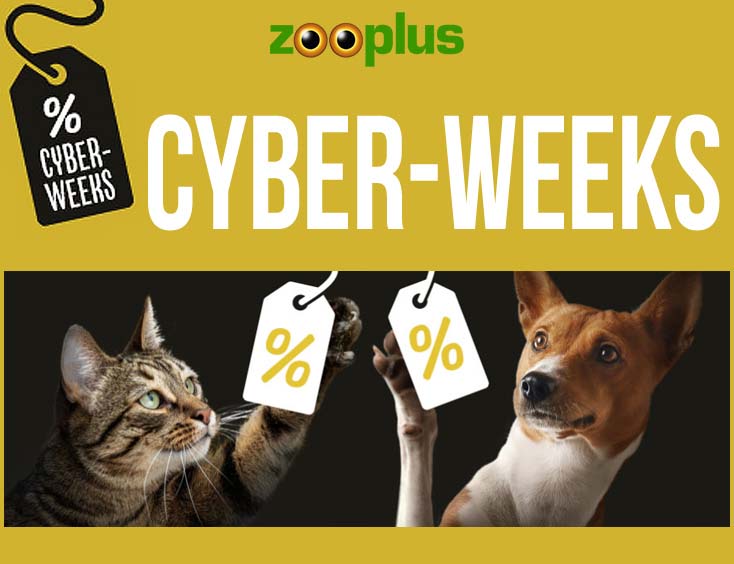 Die Cyber-Weeks bei zooplus