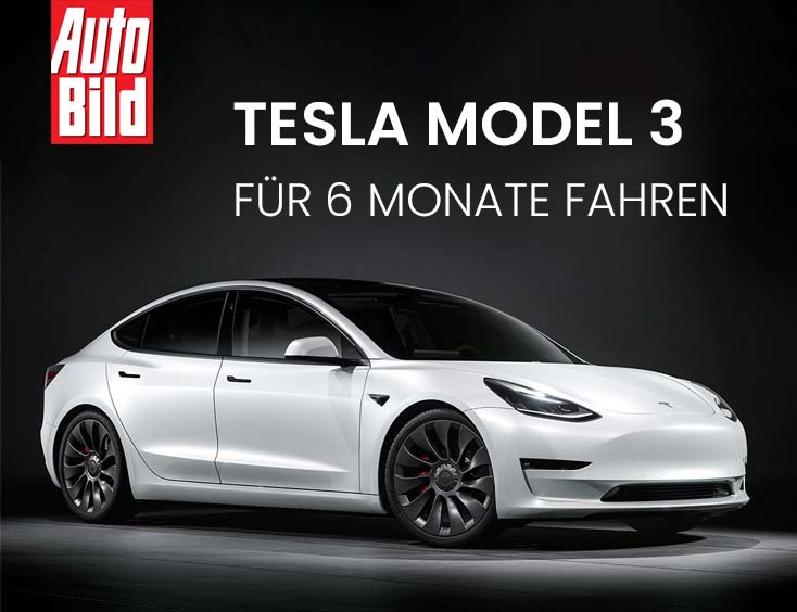 Tesla Model 3 für 6 Monate fahren